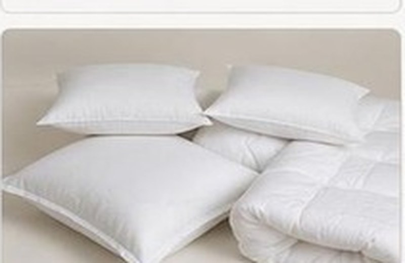 Pillow & Cushion Inserts