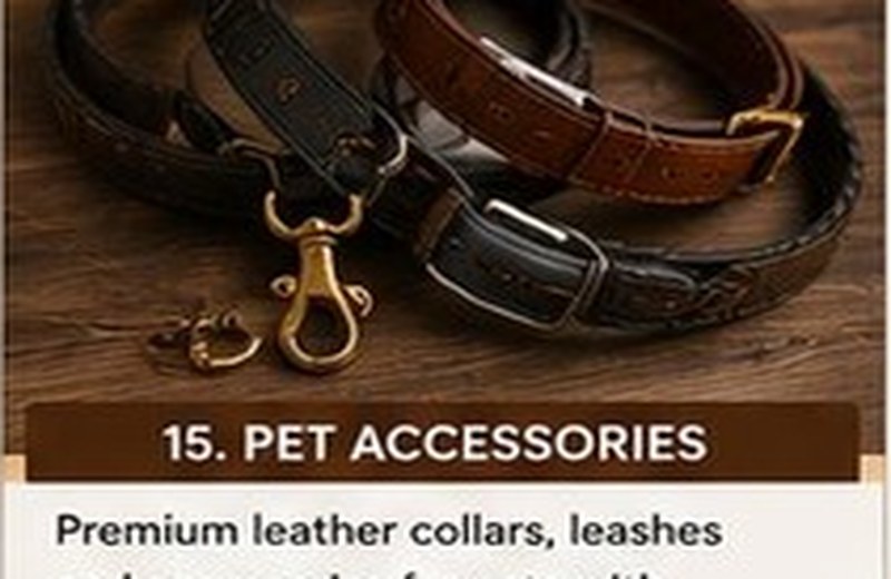 Pet Accessories